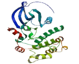 Calcium/Calmodulin Dependent Protein Kinase ID (CAMK1D)