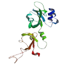 Calcium Channel, Voltage Dependent, Alpha 2/Delta Subunit 1 (CACNa2d1)