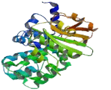 Calcium Channel, Voltage Dependent, Alpha 2/Delta Subunit 2 (CACNa2d2)