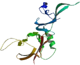 Calcium Channel, Voltage Dependent, Alpha 2/Delta Subunit 3 (CACNa2d3)