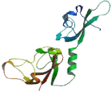 Calcium Channel, Voltage Dependent, Alpha 2/Delta Subunit 4 (CACNa2d4)