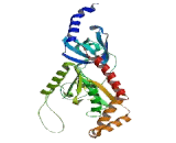 Calcium Channel, Voltage Dependent, Beta 3 Subunit (CACNb3)