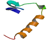 Calcium Channel, Voltage Dependent, Beta 4 Subunit (CACNb4)