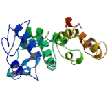 Calcium Channel, Voltage Dependent, Gamma Subunit 1 (CACNg1)