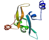 Calcium Channel, Voltage Dependent, Gamma Subunit 2 (CACNg2)