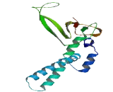 Calcium Channel, Voltage Dependent, Gamma Subunit 3 (CACNg3)