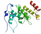 Calcium Channel, Voltage Dependent, Gamma Subunit 4 (CACNg4)