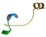 Calcium Channel, Voltage Dependent, Gamma Subunit 5 (CACNg5)