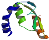 Calcium Channel, Voltage Dependent, Gamma Subunit 6 (CACNg6)