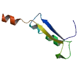 Calcium Channel, Voltage Dependent, Gamma Subunit 7 (CACNg7)