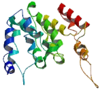 Calcium Channel, Voltage Dependent, Gamma Subunit 8 (CACNg8)