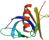 Calcium Dependent Secretion Activator 2 (CADPS2)