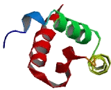 Calcium Homeostasis Endoplasmic Reticulum Protein (CHERP)