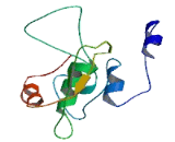 Calcium Homeostasis Modulator 1 (CALHM1)