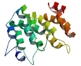 Calcium Homeostasis Modulator 2 (CALHM2)