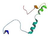 Calcium Homeostasis Modulator 3 (CALHM3)