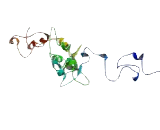 Calcium Release Activated Calcium Modulator 1 (CRACM1)