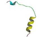 Calcyclin Binding Protein (CACYBP)