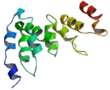 Calcyon Neuron Specific Vesicular Protein (CALY)