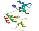 Calcyphosine Like Protein (CAPSL)