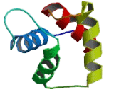 Calmodulin 2 (CALM2)