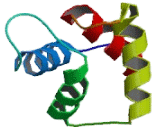 Calmodulin 3 (CALM3)