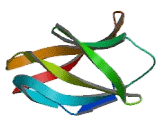 Calmodulin Binding Transcription Activator 1 (CAMTA1)