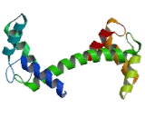 Calmodulin Like Protein 3 (CALML3)