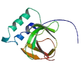 Calmodulin Regulated Spectrin Associated Protein 1 (CAMSAP1)