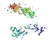 Androglobin (ADGB)