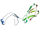 Calsyntenin 2 (CLSTN2)