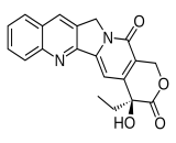 Camptothecin (CPT)