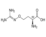 Canavanine (CVN)