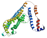 Cancer Susceptibility Candidate 4 (CASC4)