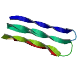 Cancer/Testis Antigen 1A (CTAG1A)