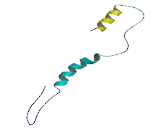 Cancer/Testis Antigen Family 45, Member A3 (CT45A3)