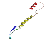 Cancer/Testis Antigen Family 45, Member A5 (CT45A5)