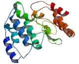 Cancer/Testis Antigen Family 47, Member A1 (CT47A1)