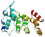 Cancer/Testis Antigen Family 47, Member B1 (CT47B1)