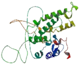 Cannabinoid Receptor 1, Brain (CNR1)