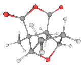 Cantharidin (CTD)