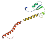 Biogenesis Of Lysosomal Organelles Complex 1, Subunit 4 (BLOC1S4)