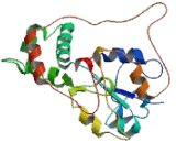 Carbohydrate Sulfotransferase 10 (CHST10)