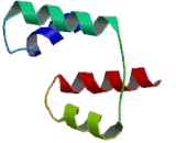 Carbohydrate Sulfotransferase 12 (CHST12)