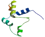 Carbohydrate Sulfotransferase 13 (CHST13)