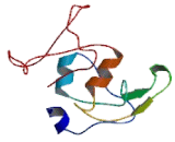 Carbohydrate Sulfotransferase 4 (CHST4)