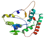 Carbohydrate Sulfotransferase 6 (CHST6)