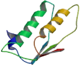 Carbohydrate Sulfotransferase 8 (CHST8)