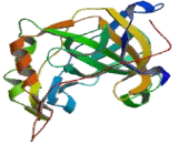 Carbonic Anhydrase X (CA10)