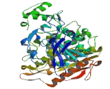 Carboxylesterase 3 (CES3)